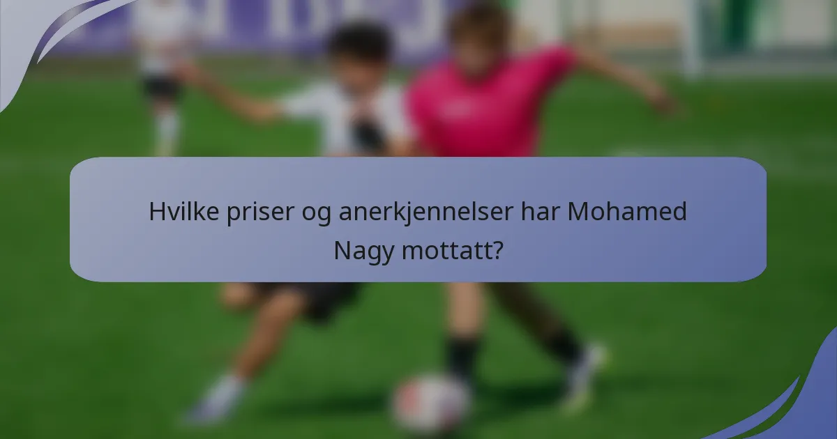 Hvilke priser og anerkjennelser har Mohamed Nagy mottatt?