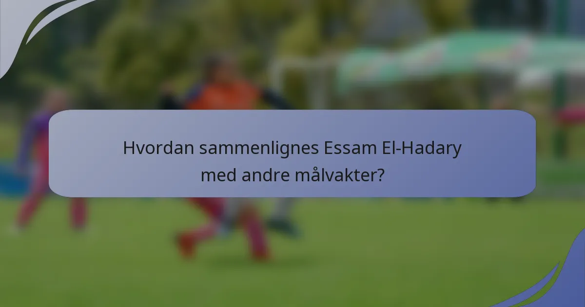 Hvordan sammenlignes Essam El-Hadary med andre målvakter?